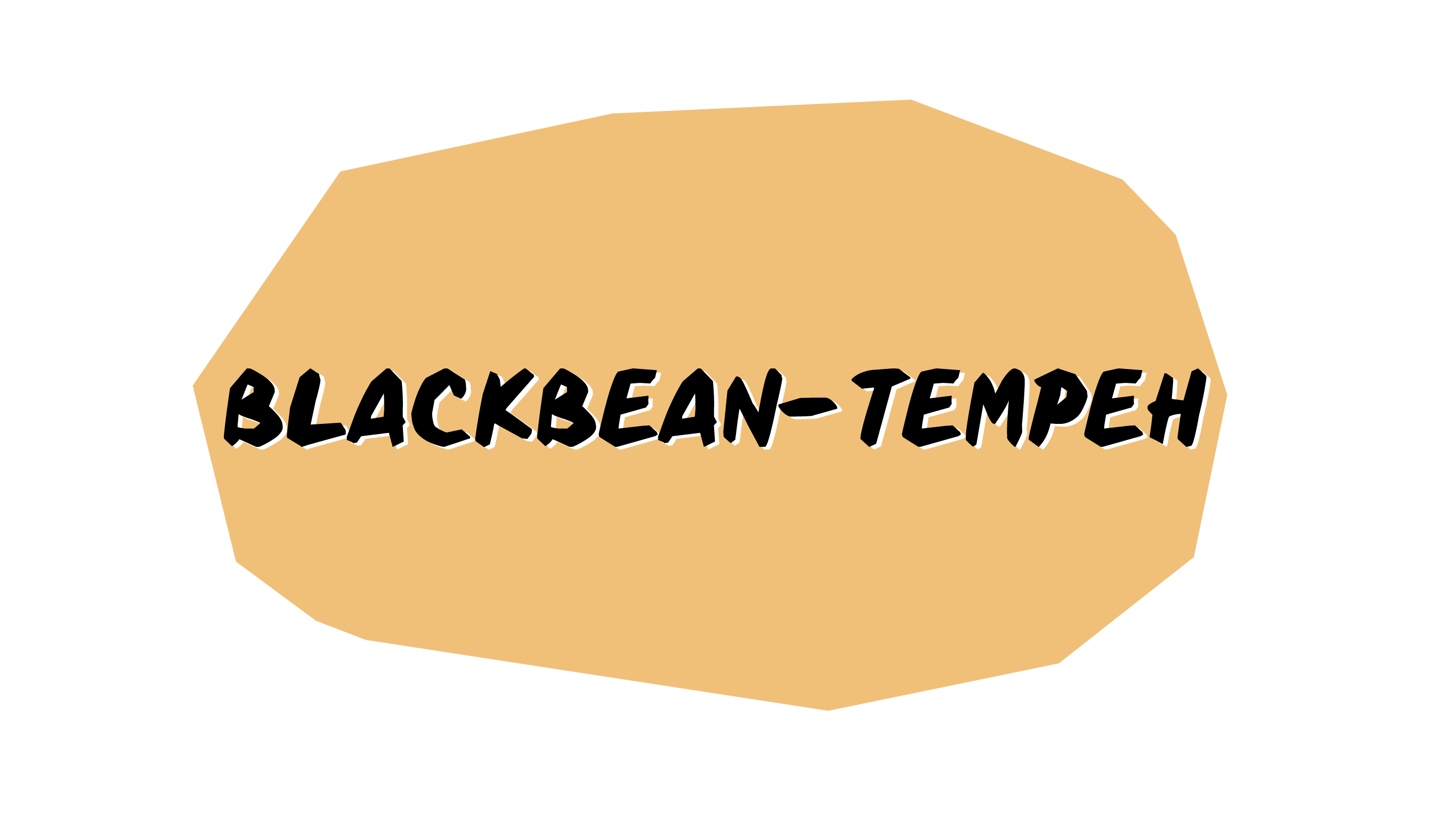 BlackBean Tempeh